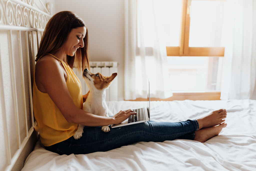 Happy woman sitting on the bed writing on the laptop with her dog Jack Russell terrier on her legs at sunset. Human resources hr small business owner